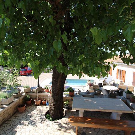 Apartments Vesna With Pool - New! Sveti Lovreč Pazenatički Dış mekan fotoğraf